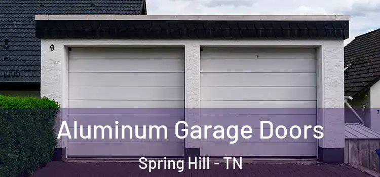  Aluminum Garage Doors Spring Hill - TN