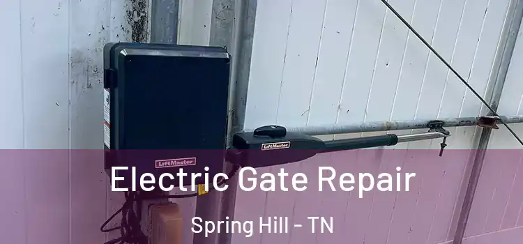Electric Gate Repair Spring Hill - TN