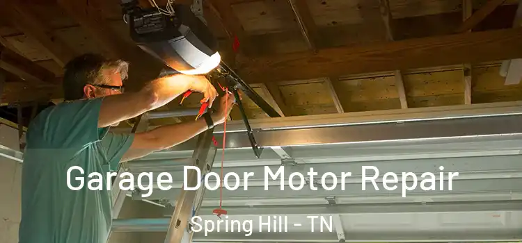  Garage Door Motor Repair Spring Hill - TN