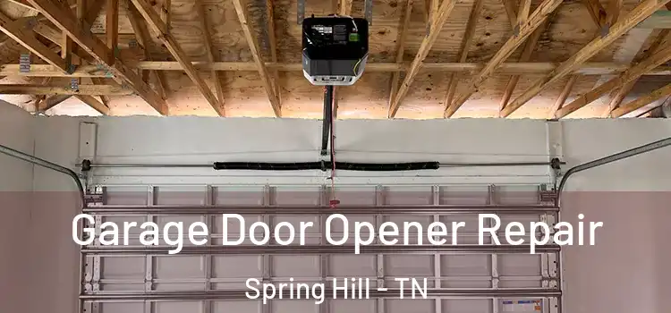  Garage Door Opener Repair Spring Hill - TN
