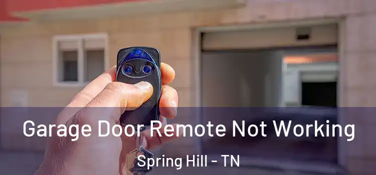  Garage Door Remote Not Working Spring Hill - TN