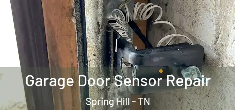 Garage Door Sensor Repair Spring Hill - TN