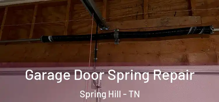  Garage Door Spring Repair Spring Hill - TN