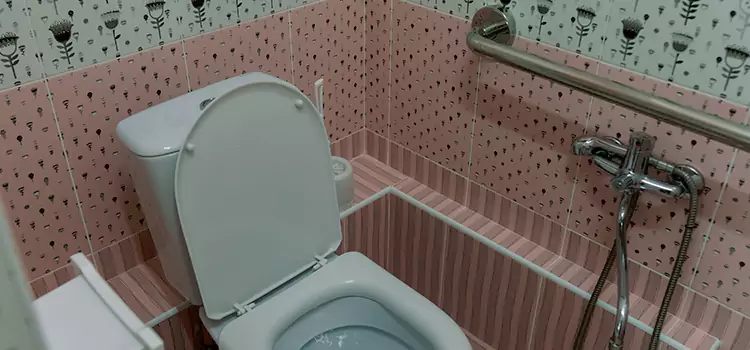 Meeting Diverse Needs With Accessible Restroom Solutions in Spring Hill, TN