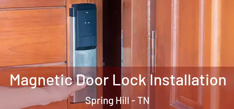  Magnetic Door Lock Installation Spring Hill - TN