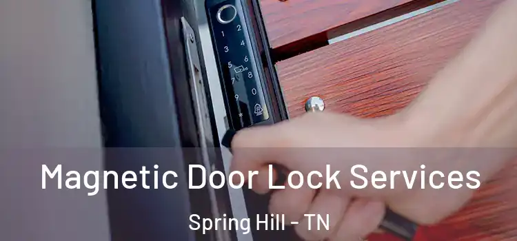 Magnetic Door Lock Services Spring Hill - TN