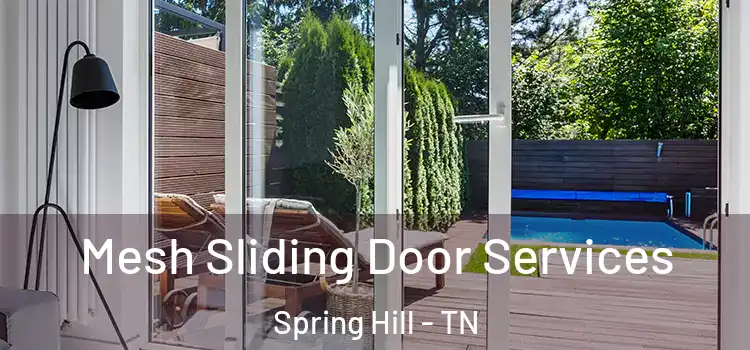 Mesh Sliding Door Services Spring Hill - TN