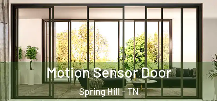 Motion Sensor Door Spring Hill - TN
