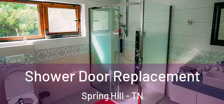 Shower Door Replacement Spring Hill - TN