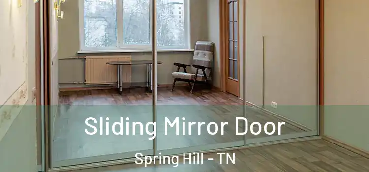  Sliding Mirror Door Spring Hill - TN